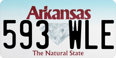 AR license plate 593WLE