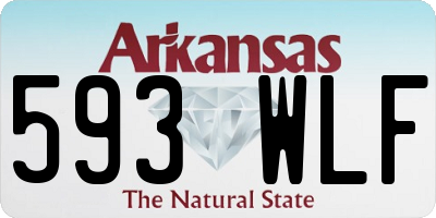 AR license plate 593WLF