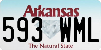 AR license plate 593WML