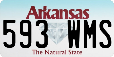 AR license plate 593WMS