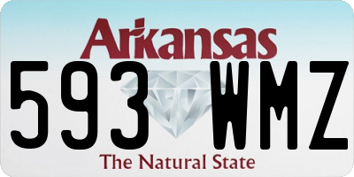 AR license plate 593WMZ
