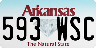 AR license plate 593WSC