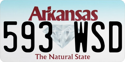 AR license plate 593WSD