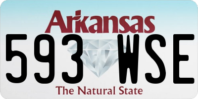 AR license plate 593WSE