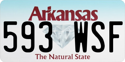 AR license plate 593WSF