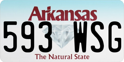 AR license plate 593WSG
