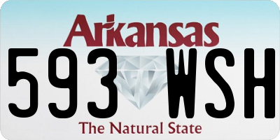 AR license plate 593WSH