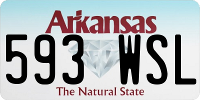 AR license plate 593WSL