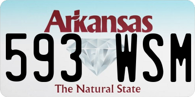 AR license plate 593WSM