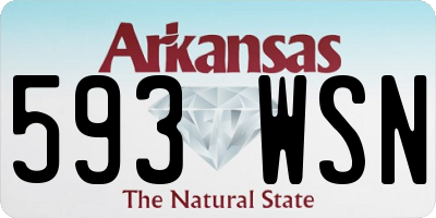 AR license plate 593WSN