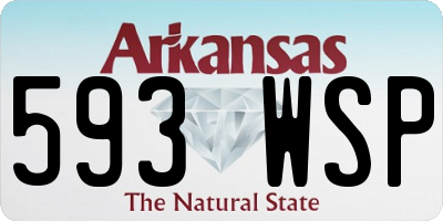 AR license plate 593WSP