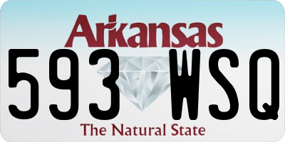 AR license plate 593WSQ