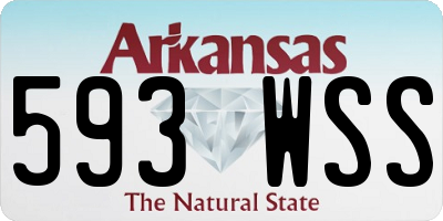 AR license plate 593WSS