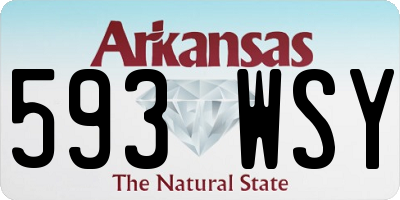 AR license plate 593WSY