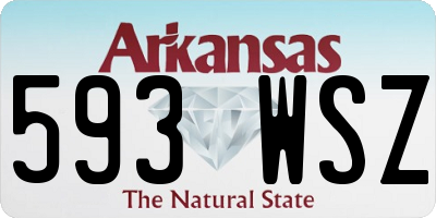 AR license plate 593WSZ