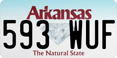 AR license plate 593WUF