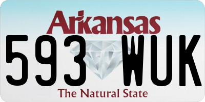 AR license plate 593WUK