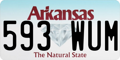 AR license plate 593WUM