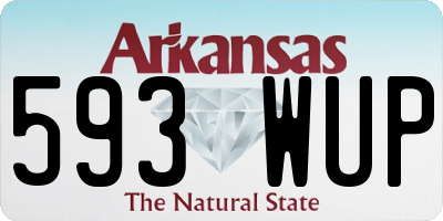 AR license plate 593WUP