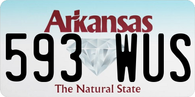 AR license plate 593WUS