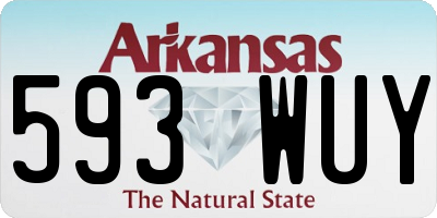 AR license plate 593WUY