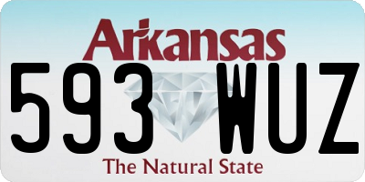 AR license plate 593WUZ
