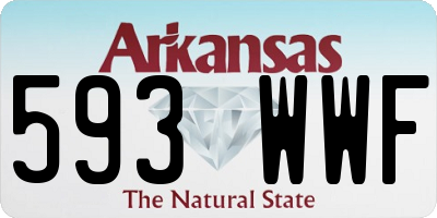 AR license plate 593WWF