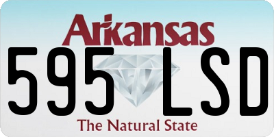 AR license plate 595LSD