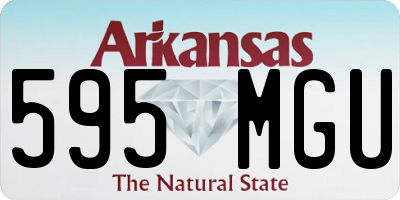 AR license plate 595MGU
