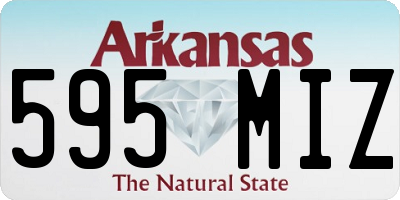 AR license plate 595MIZ