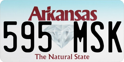AR license plate 595MSK