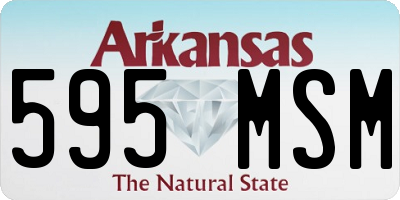AR license plate 595MSM