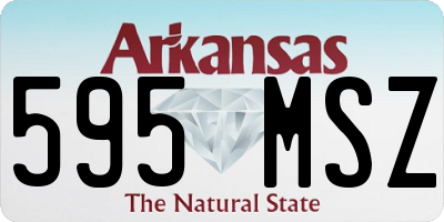 AR license plate 595MSZ