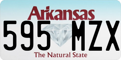 AR license plate 595MZX