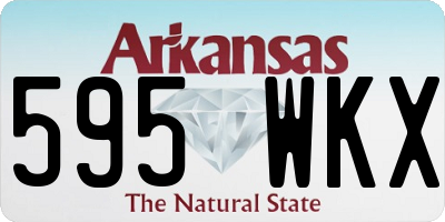 AR license plate 595WKX