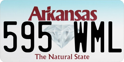 AR license plate 595WML
