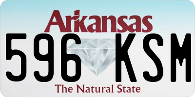 AR license plate 596KSM