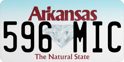 AR license plate 596MIC