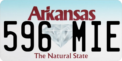 AR license plate 596MIE