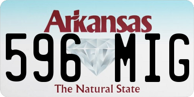 AR license plate 596MIG