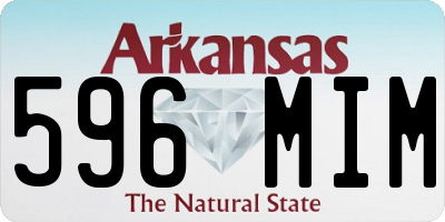 AR license plate 596MIM