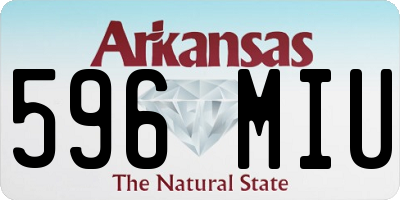 AR license plate 596MIU