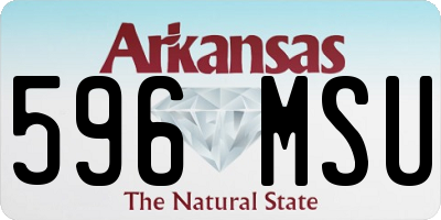 AR license plate 596MSU