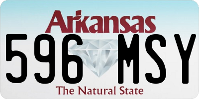 AR license plate 596MSY