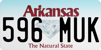 AR license plate 596MUK