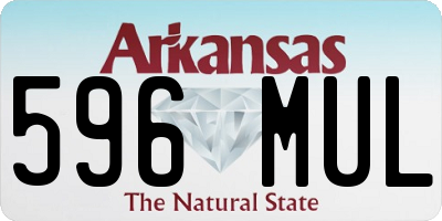 AR license plate 596MUL