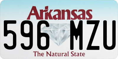 AR license plate 596MZU