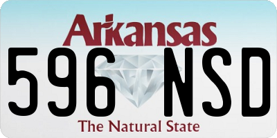 AR license plate 596NSD