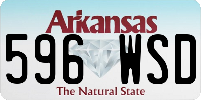 AR license plate 596WSD
