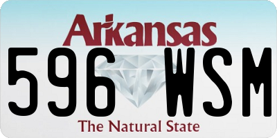 AR license plate 596WSM